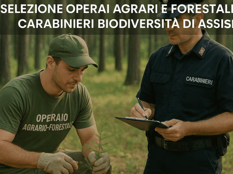 Assisi operai carabinieri 2025