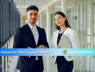 Selezioni 1000 Esperti PNRR