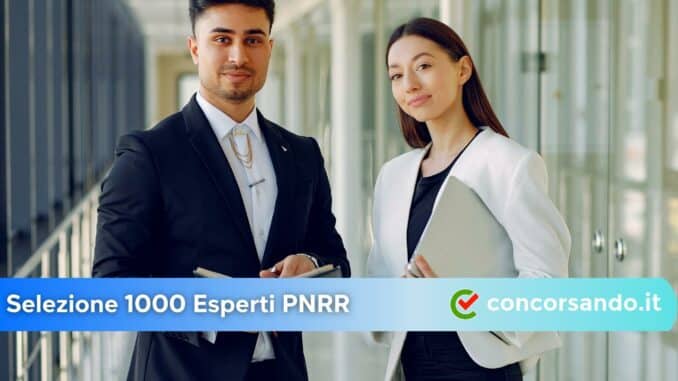 Selezioni 1000 Esperti PNRR