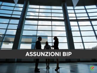 Assunzioni Bip