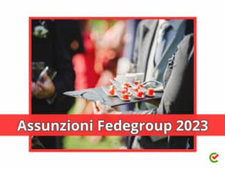 Assunzioni Fedegroup 2023