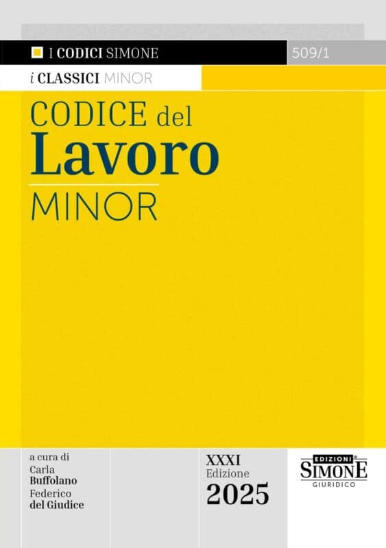 Codice del Lavoro Minor