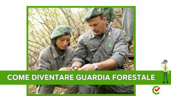 Come diventare Guardia Forestale - La guida e la formazione richiesta