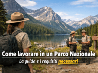 Come lavorare in un Parco Nazionale - La guida