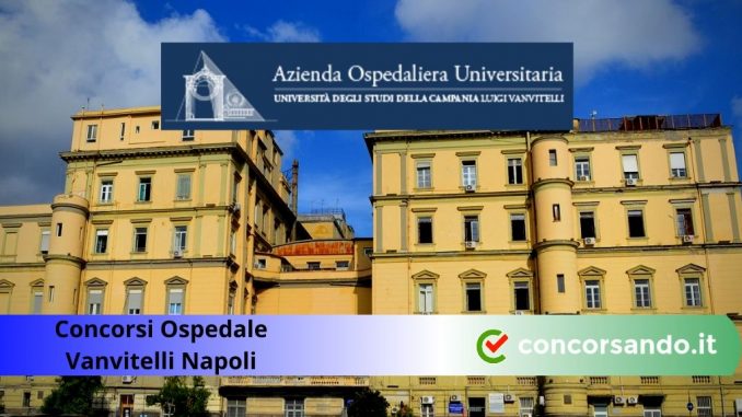 Concorsi Ospedale Vanvitelli Napoli Come Esercitarsi Sulle Banche Dati