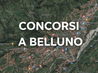 Concorsi a Belluno