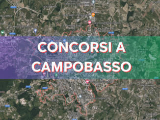 Concorsi a Campobasso