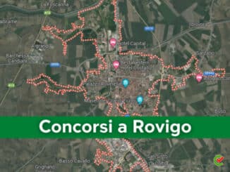 Concorsi a Rovigo