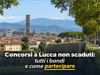 Concorsi a lucca bandi