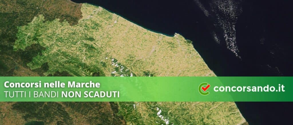 Concorsi nelle Marche