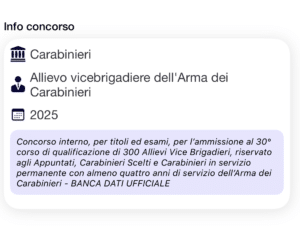 Concorso Allievi Vice Brigadieri Carabinieri Interno 2025 banca dati