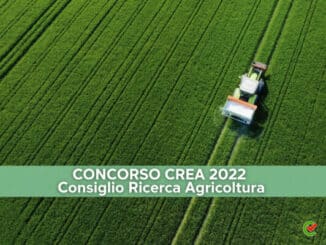 Concorso CREA 2022