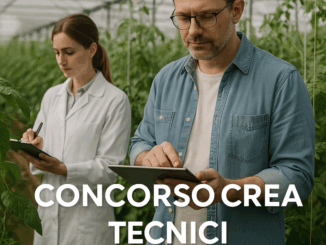 Concorso CREA Tecnici 2025