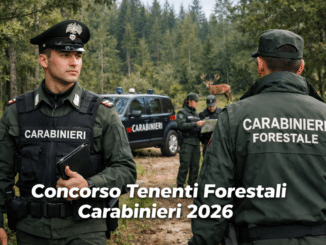 Concorso Tenenti Forestali Carabinieri 2026 12 posti per laureati
