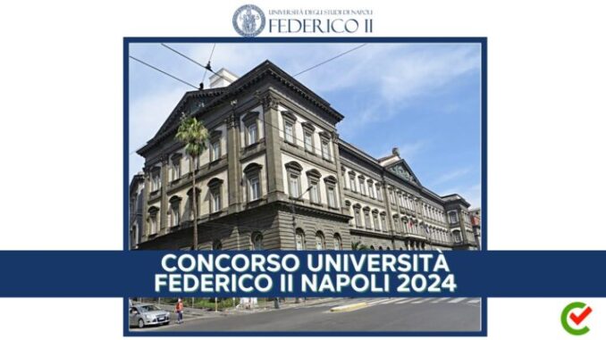 Aperto il nuovo Concorso Università Federico II Napoli Area Tecnica 2024 - 8 posti