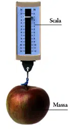 dinamometro