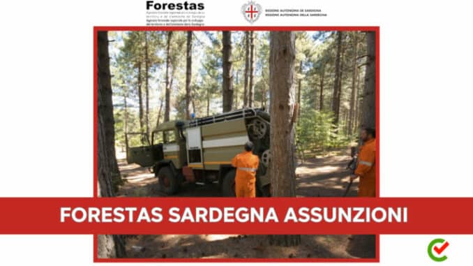 Forestas Sardegna assunzioni 2023 - In arrivo 635 posti di lavoro