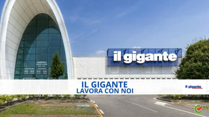 Il Gigante Lavora con noi - Assunzioni e Posizioni aperte