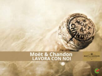 Moet & Chandon Lavora con noi (1)