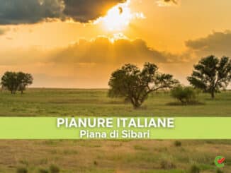 Quiz Piana di Sibari