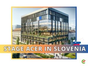 Stage ACER in Slovenia - Tirocini per laureati