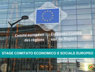 Stage Comitato Economico e Sociale Europeo 2023 (1)