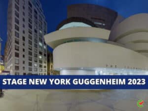 Stage New York Guggenheim 2023 - Tirocini in museo