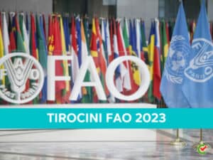 Tirocini FAO 2023