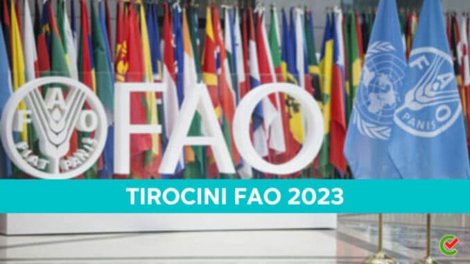 Tirocini FAO 2023 - Stage a Roma e all’estero retribuiti