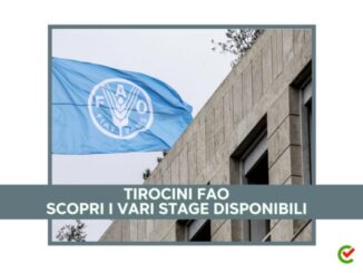 Tirocini FAO 2024 - Stage a Roma e all’estero retribuiti