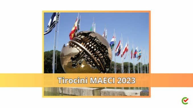 Tirocini MAECI 2023 - 335 posti per laureati