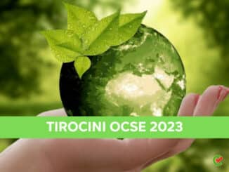 Tirocini OCSE 2023