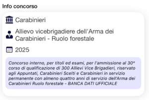Concorso Allievi Vice Brigadieri Carabinieri Interno 2025 banca dati