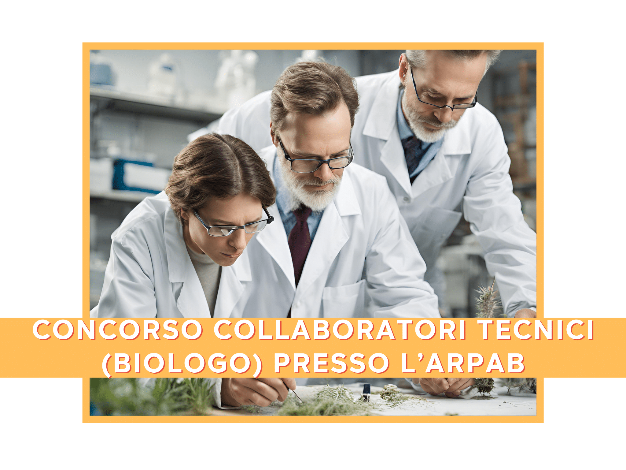 Concorso Banca d