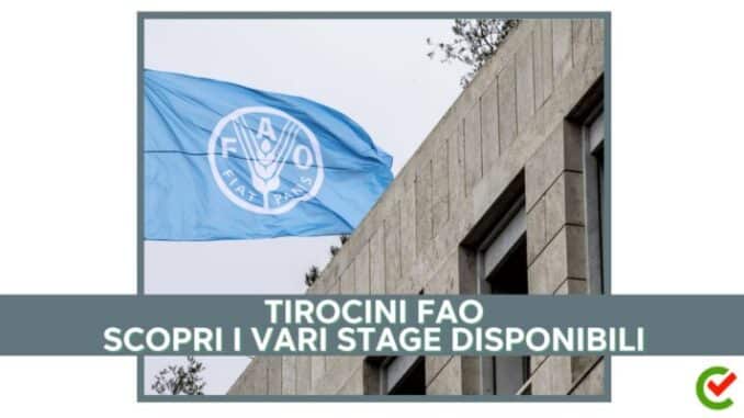 Disponibili Tirocini FAO 2024 - Stage a Roma e all’estero retribuiti