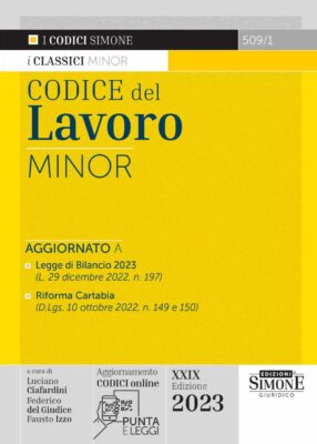 Codice del Lavoro Minor